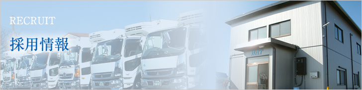 採用情報